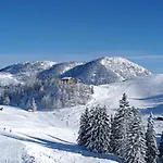 Haus Alexandra Werfenweng
