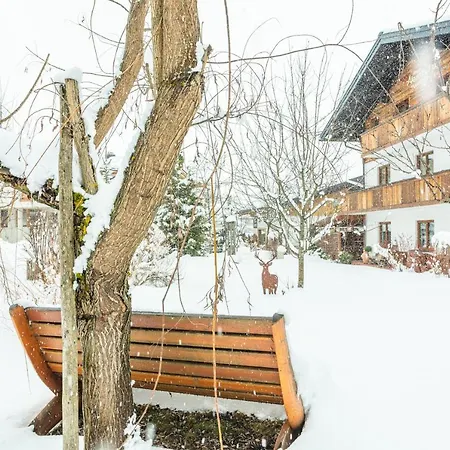 Haus Alexandra Lejlighed Werfenweng
